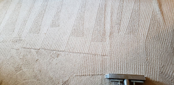Tulsa Carpet Cleaning | Is There More We Can Do For You?