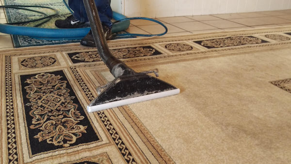 Best Carpet Cleaning Service In Tulsa | We Pay Attention To The Small Details.