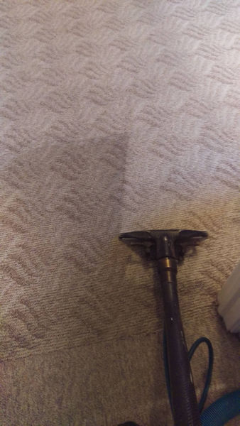 Best Carpet Cleaning Service In Tulsa | Is This Something I Can Do?