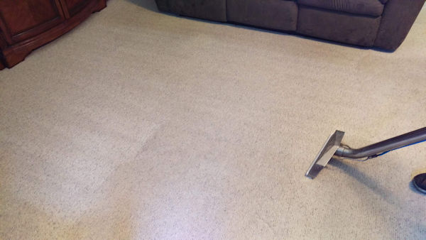 Carpet Cleaner | Episode 475 | Complete Carpet