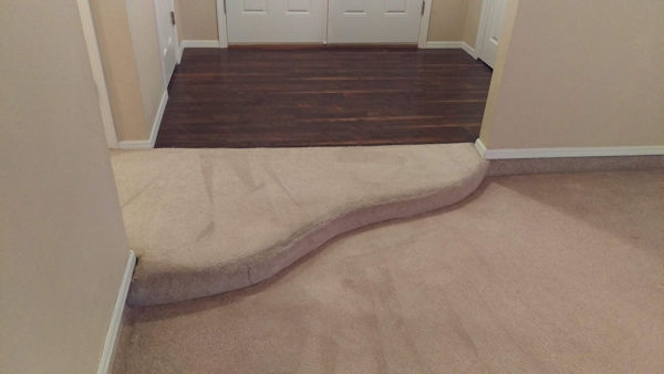 Carpet Cleaner | Episode 533 | Complete Carpet