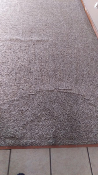 Carpet Cleaner | Episode 546 | Complete Carpet