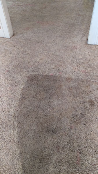 Carpet Cleaning Tulsa | Episode 427 | Complete Carpet